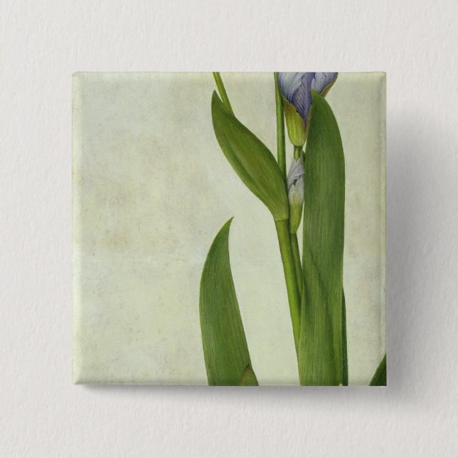 Eine Iris Button (Vorderseite)