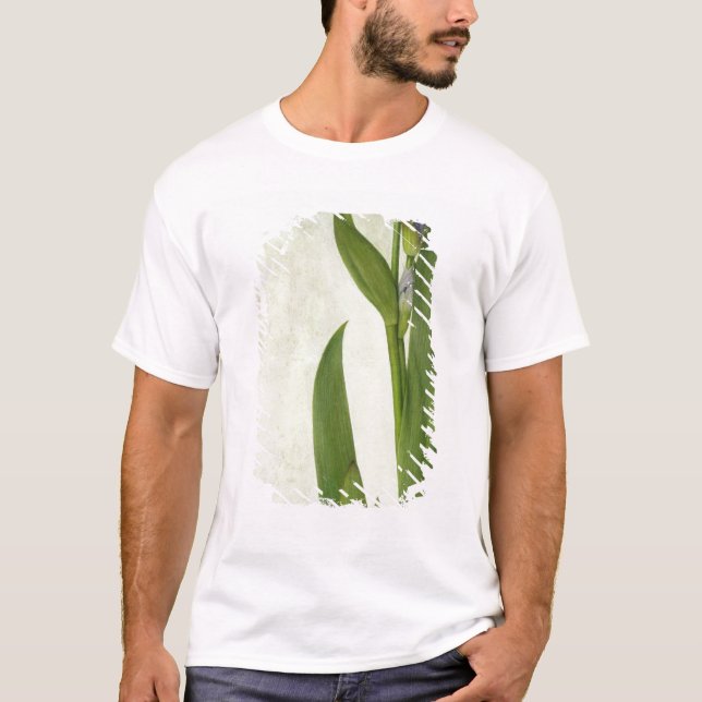 Eine Iris T-Shirt (Vorderseite)
