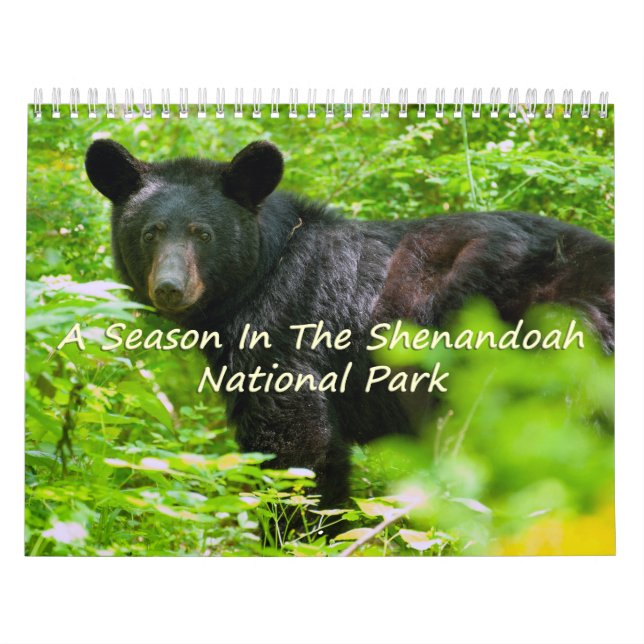 Eine Jahreszeit im Shenandoah-Nationalpark Kalender (Titelbild)