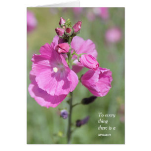 Eine Jahreszeit und Zeit für Hollyhock-Jeden Anlaß