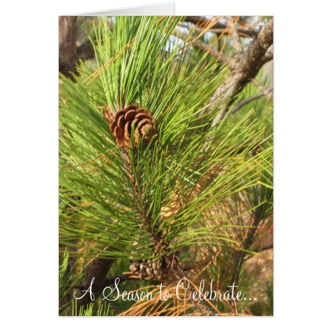 Eine Jahreszeit zum Feiern... (Vorne)