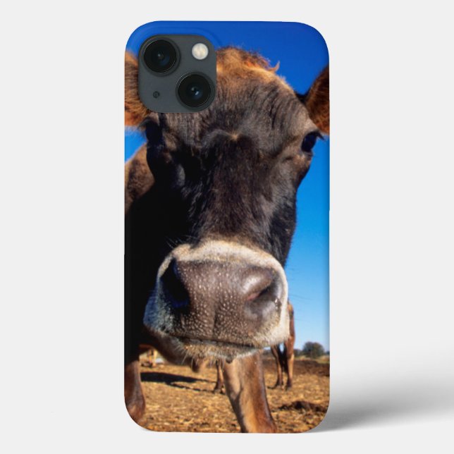 Eine Jersey-Kuh, die neugierig ist Case-Mate iPhone Hülle (Rückseite)