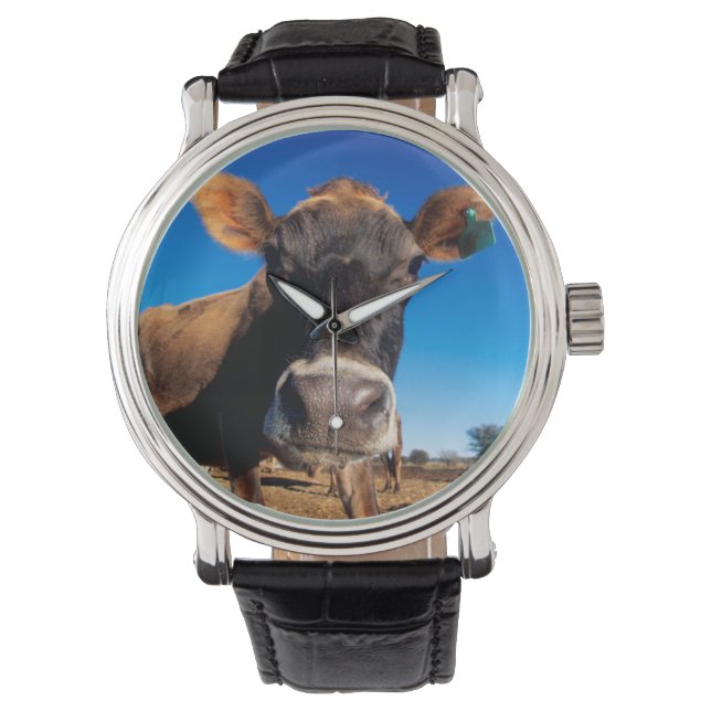 Eine Jerseykuh ist neugierig Armbanduhr (Vorderseite)