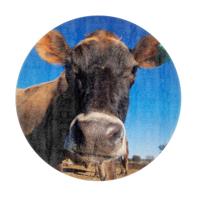 Eine Jerseykuh ist neugierig Schneidebrett (Vorderseite)