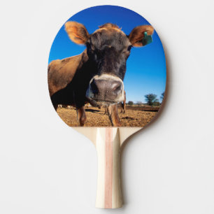 Eine Jerseykuh, neugierig Tischtennis Schläger