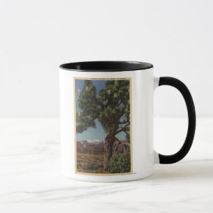 Eine Joshua-Palme in der Blüte in der Tasse