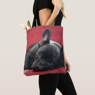 Eine junge französische Bulldogge, die auf einer Tasche