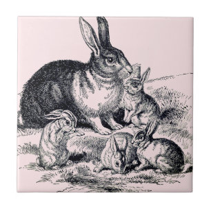 Eine Kaninchenfamilie - Vintage Abbildung Fliese