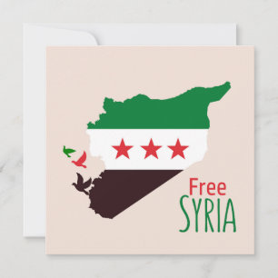 Eine Karte Syriens mit der "Revolution Flag"