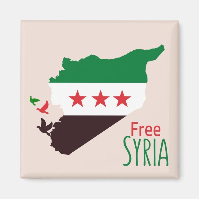 Eine Karte Syriens mit der "Revolution Flag" Magnet (Vorne)