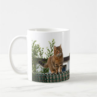 eine Katze auf einer Tasse