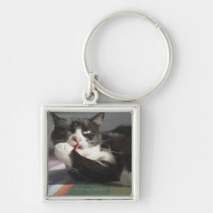 Eine Katze, die es leckt, ist Tatze Schlüsselanhänger