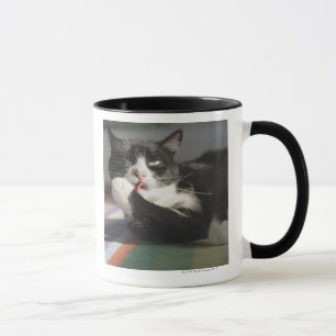 Eine Katze, die es leckt, ist Tatze Tasse