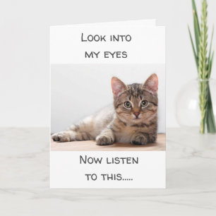 EINE KATZE, DIE GEFÜHLE HAT, SAGT "GLÜCKLICH GEBUR KARTE