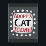 Eine Katze heute auf der Postkarte adoptiert<br><div class="desc">"Adoptier A Cat Today" ist ein niedliches Textdesign in Grau mit Schwarz und Rot. Er sitzt auf einer weißen Akzent-Form und niedliche weiße Polka-Punkte,  die ihn umgeben.</div>