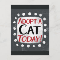 Eine Katze heute auf der Postkarte adoptiert