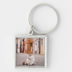 Eine Katze in den Straßen von Burano, Italien.  Schlüsselanhänger