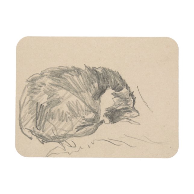 Eine Katze krummte auf, schläfend von Edouard Mane Magnet (Horizontal)