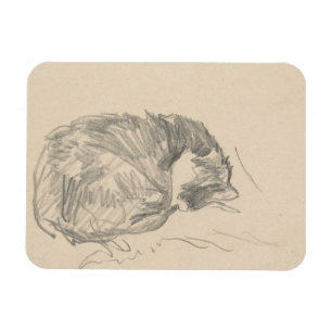 Eine Katze oben gekräuselt, schlafend von Edouard Magnet