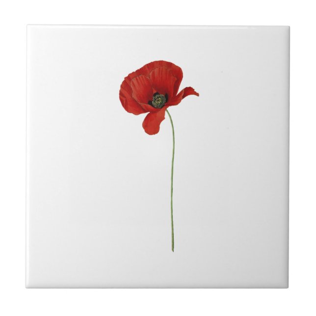 Eine Keramik aus rotem Mohn Fliese (Vorderseite)