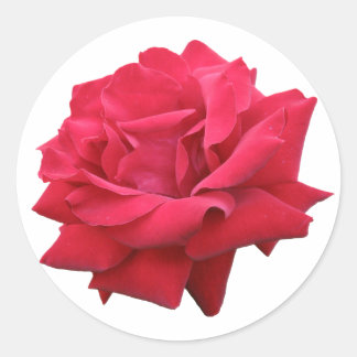 Eine klassische Rote Rose Runder Aufkleber