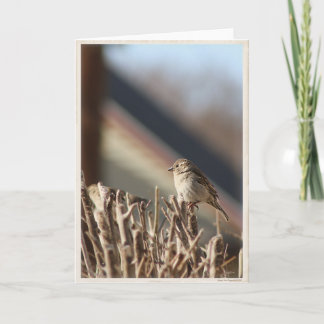 Eine kleine Birdie Blank Grußkarte Karte