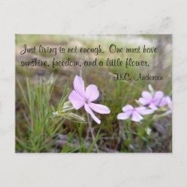 Eine kleine Blume Postkarte