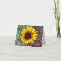 Eine kleine gelbe Sonnenblume im Blumengarten