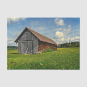 Eine kleine graue und braune Scheune in einem Blum Seidenpapier