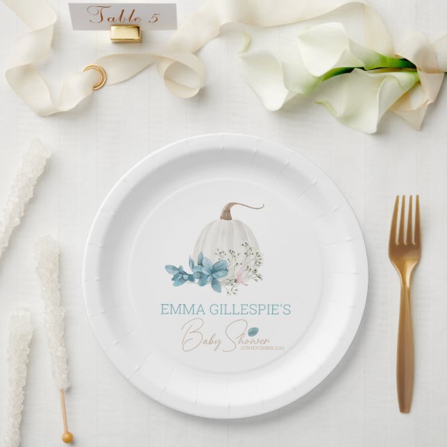 Eine kleine Pumpkin Fall Baby Dusche Pappteller (Hochzeit)