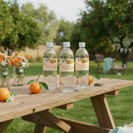 Eine kleine Süsse Orange Babydusche