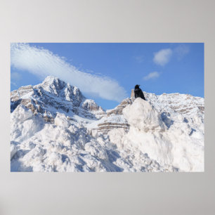 Eine Kneipe am Crowfoot Mountain Alberta Kanada Poster