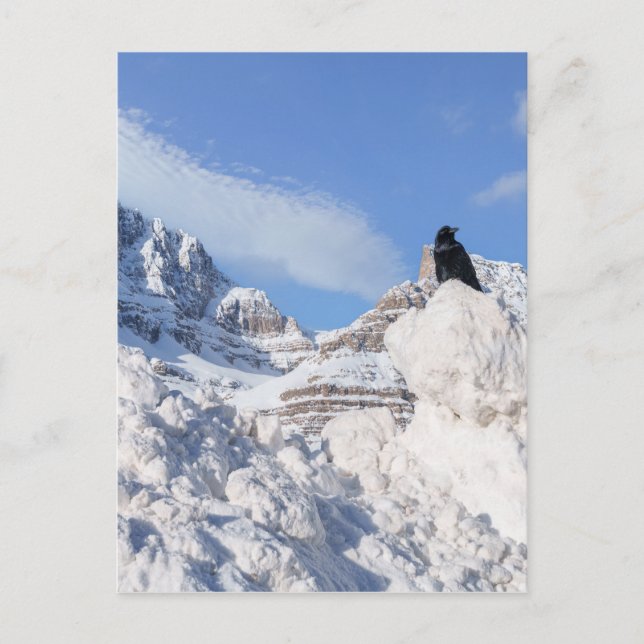 Eine Kneipe am Crowfoot Mountain Alberta Kanada Postkarte (Vorderseite)