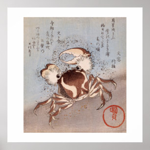 Eine Krabbe auf der Küste Poster