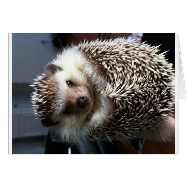 Eine Kugel des Spike (Vorderseite (Horizontal))