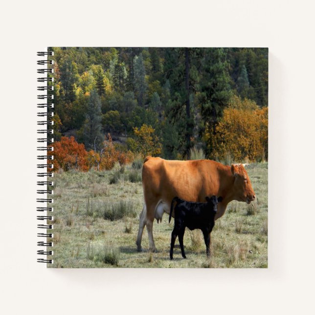 Eine Kuh und ihr Kalb... Notizbuch (Vorderseite)