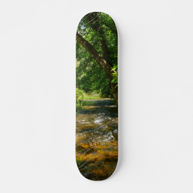 Eine Landkrebse Skateboard (Vorne)