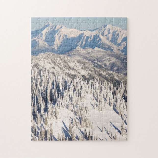 Eine landschaftliche Ansicht von Snowybergen und (Vertikal)