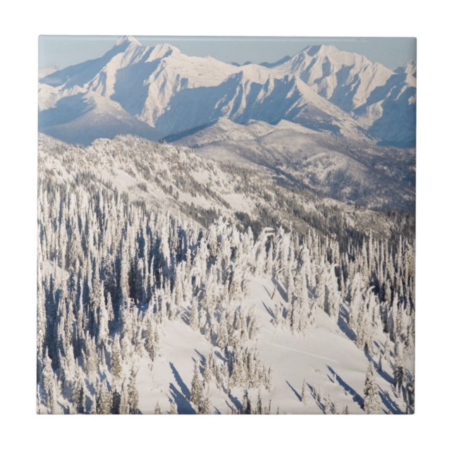 Eine landschaftliche Ansicht von Snowybergen und Fliese (Vorderseite)