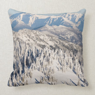 Eine landschaftliche Ansicht von Snowybergen und Kissen