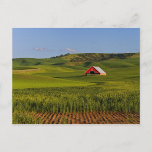 Eine landschaftliche Aussicht auf eine Scheune in  Postkarte