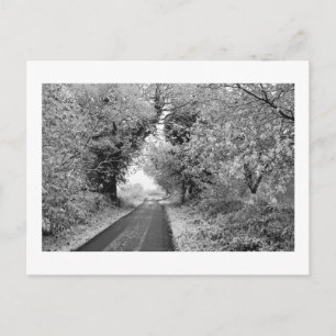 Eine Landstraße im Winter: Cheshire, England Postkarte
