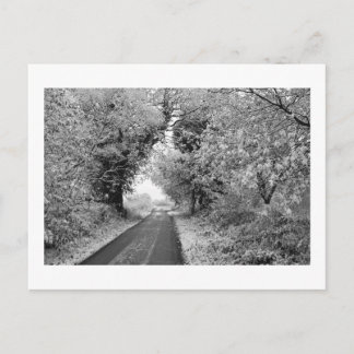 Eine Landstraße im Winter: Cheshire, England Postkarte