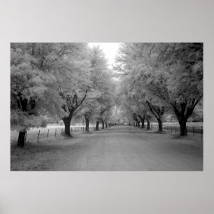 Eine Landstraße Poster