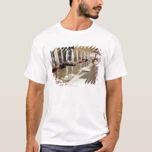 Eine lange Reihe der Weingläser gründete so ein T-Shirt