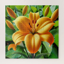 Eine lebendige goldgelbe Lilie