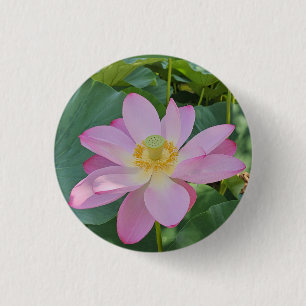 Eine lebendige Lotus-Blume Button