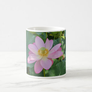 Eine lebendige Lotus-Blume Kaffeetasse