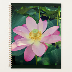 Eine lebendige Lotus-Blume Planer