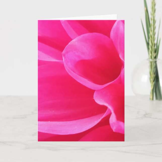 Eine lebendige Nah-up-Delilah-Blume (Blank) Karte (Vorderseite)